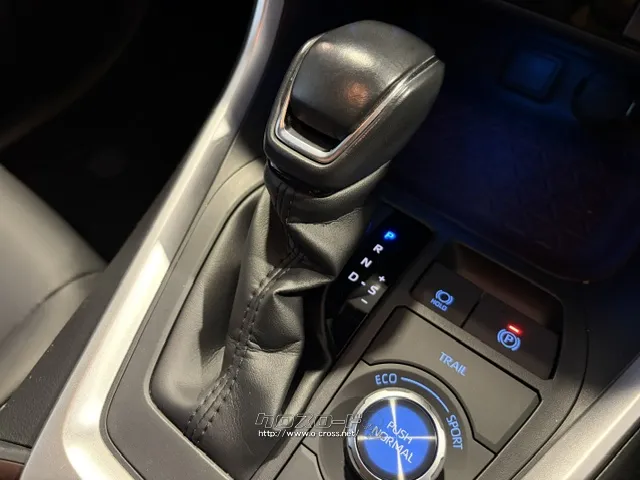 シフトノブ トヨタ RAV4