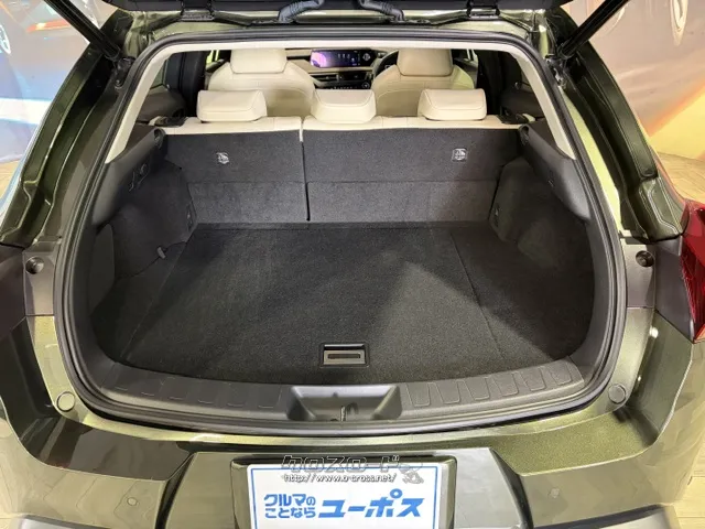 日常的な買い物なら必要十分なラゲッジスペースです。 レクサス UX