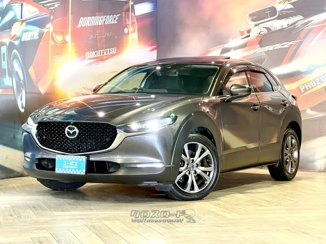 「人生の幅や世界観を広げるクロスオーバー」 マツダ CX-30