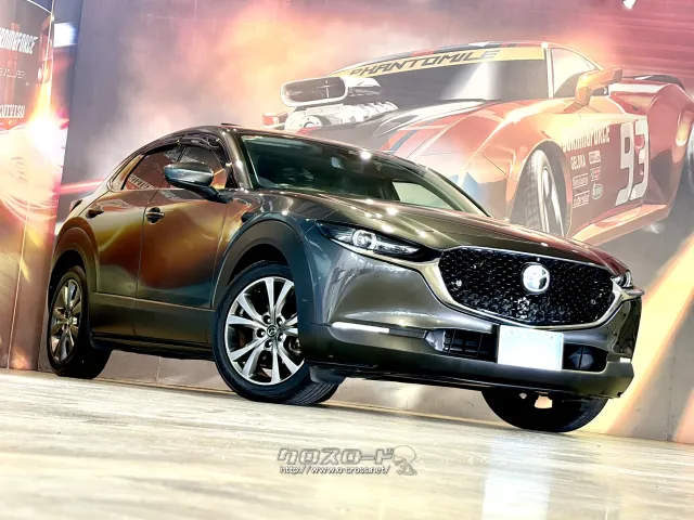 光や景色が「S字型」に美しく映り込む滑らかなボディライン。 マツダ CX-30