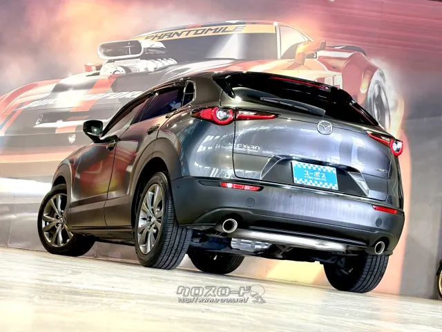 心臓の鼓動のようにジワッと消える「ディミングターンシグナル」を採用。 マツダ CX-30