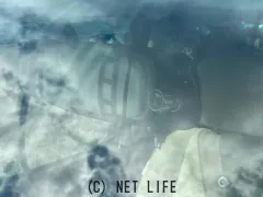 ダイハツ ミラココア