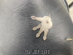 ハーレーダビッドソン その他