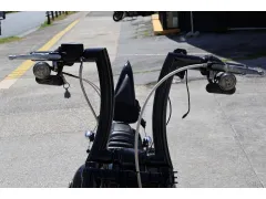 ハーレーダビッドソン ソフテイル