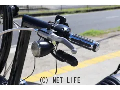 ハーレーダビッドソン ソフテイル