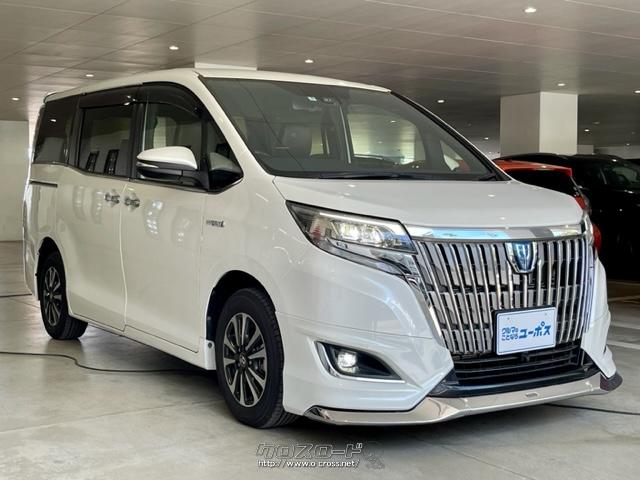 トヨタ エスクァイア HYBRID Gi プレミアムパッケージ OP10年保証対象