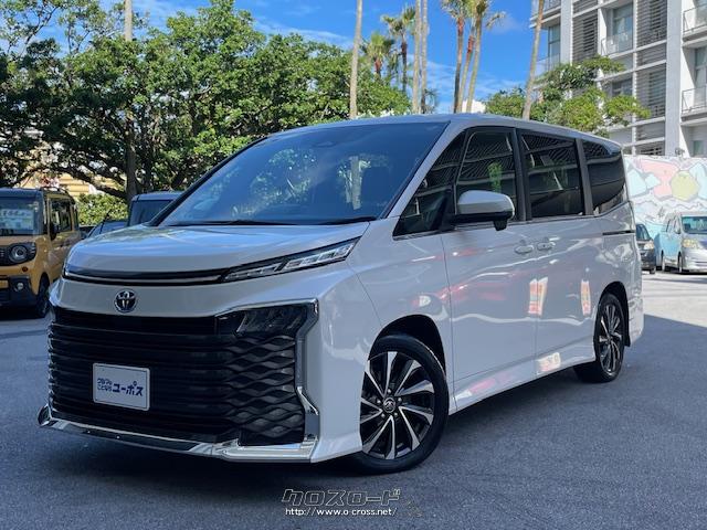 新車希少　チャンバワンバ　USA コンプリート車105 World-renowned Japanese cars