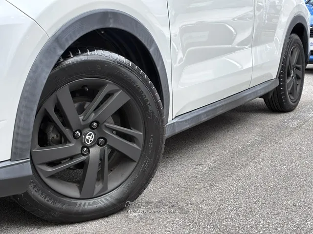 タイヤサイズ(前後)195/65R16 トヨタ ライズ