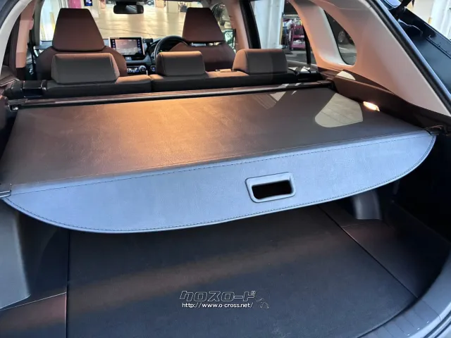 トノカバー トヨタ RAV4