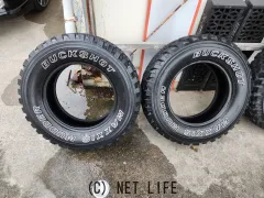 タイヤ 14インチ マキシス バックショット