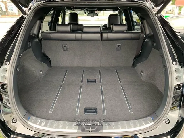 パワーバックドア(挟み込み防止機能・停止位置メモリー機能・予約ロック機能付) トヨタ ハリアー