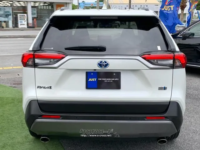 ●G、ハイブリッド専用デザイン、バックドアガーニッシュ(カラード+高輝度シルバー トヨタ RAV4