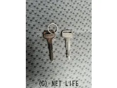 スズキ キャリイ