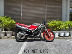 ホンダ NS