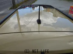 ダイハツ タフト