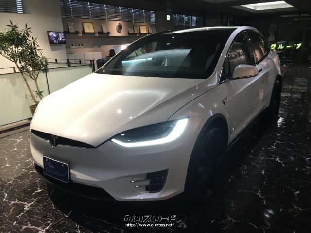 テスラ モデルX ロングレンジ オートパイロット 22インチAW ファルコン