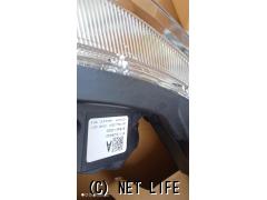 外装・エアロ フロントレンズ