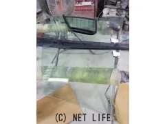 外装・エアロ 左前ガラスセット