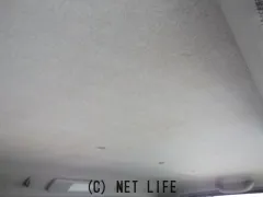 日野自動車 デュトロ