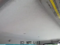 日野自動車 デュトロ