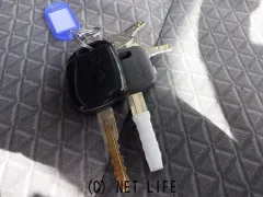 いすゞ エルフ