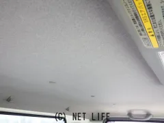 日野自動車 デュトロ