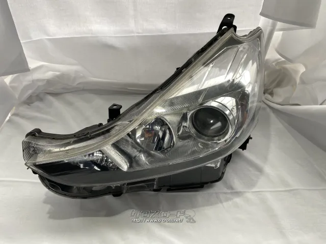 電装系 ハロゲンライト