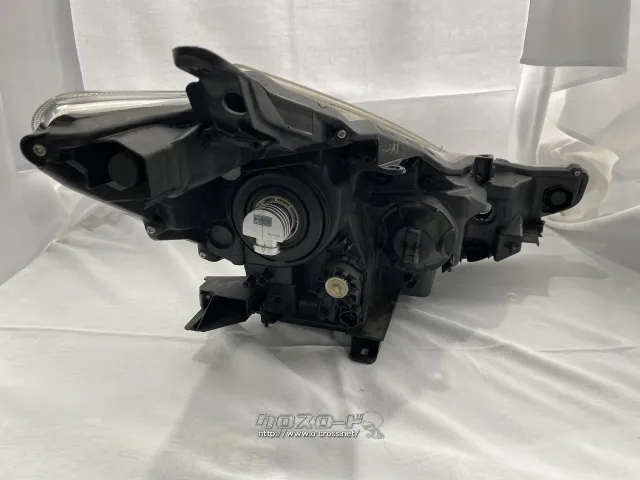 電装系 ハロゲンライト