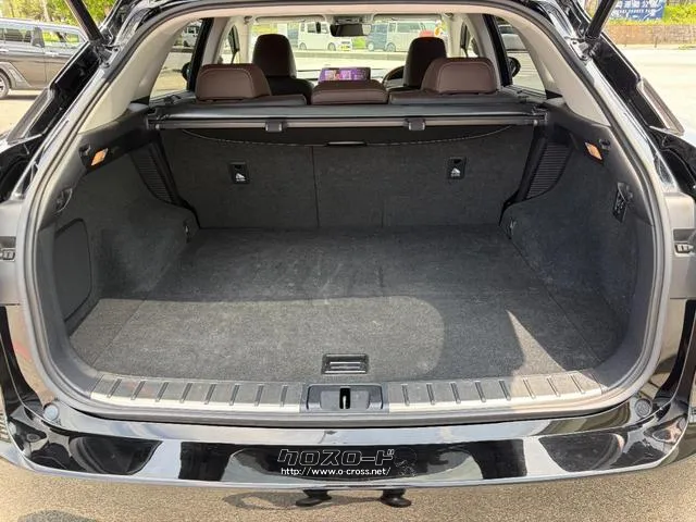 レンタアップ車徹底売り尽くしセール!ナビ・ETC・バックカメラ付で装備充実。愛車の買取査定、委託販売なども行ってます〜♪中古車買うなら西崎総合運動公園向かいのネクサスレンタカーへ。 レクサス RX