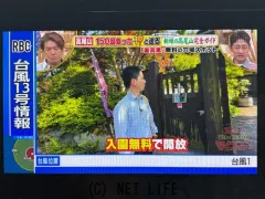 トヨタ ノア