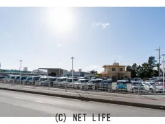 トヨタ ノア