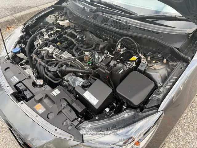 レンタアップ車徹底売り尽くしセール!ナビ・ETC・バックカメラ付で装備充実。愛車の買取査定、委託販売なども行ってます〜♪中古車買うなら西崎総合運動公園向かいのネクサスレンタカーへ。 マツダ MAZDA2