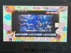 トヨタ アクア