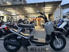 ホンダ ズーマー