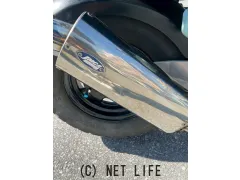 ホンダ ズーマー