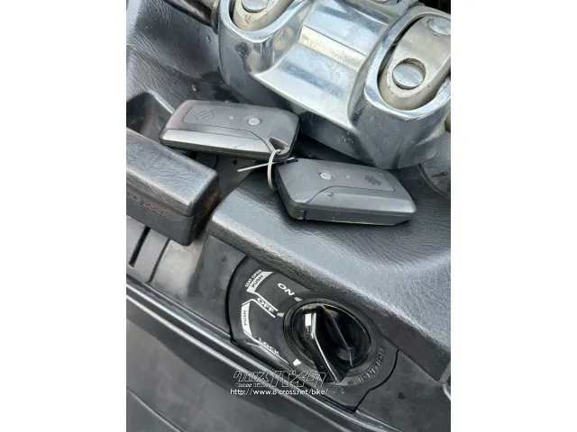 スズキ スカイウェイブ250