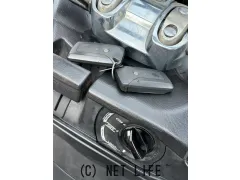 スズキ スカイウェイブ250