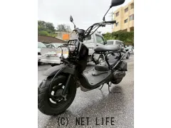 ホンダ ズーマー