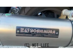 スズキ スカイウェイブ250