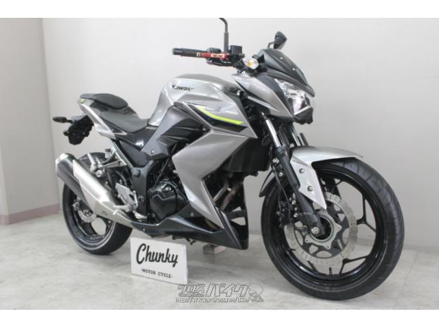 カワサキ Z250・グレー・250cc・Chunky・33,254km (2022年07月