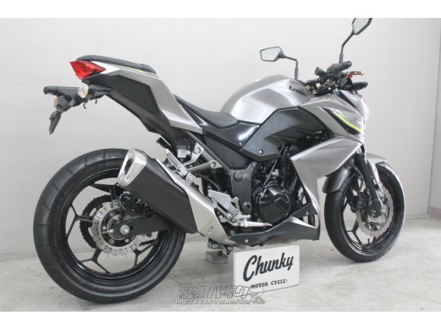カワサキ Z250・グレー・250cc・Chunky・33,254km (2022年07月
