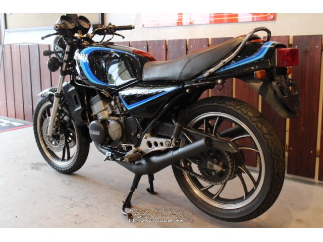 ヤマハ RZ350・1981(S56)初度登録(届出)年・ブラック・350cc・株式会社