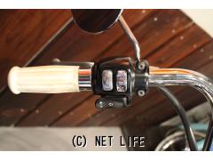 ハーレーダビッドソン ソフテイル