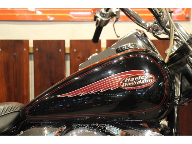ハーレーダビッドソン ソフテイル FXSTC1340・1999(H11)初度登録(届出