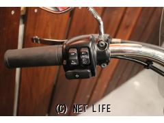 ハーレーダビッドソン ソフテイル