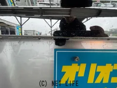 スズキ ソリオ