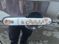 スズキ アルトラパン