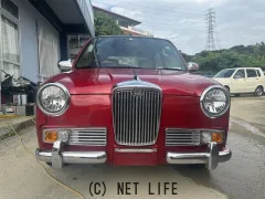 光岡自動車 レイ