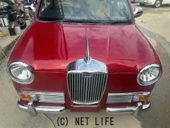 光岡自動車 レイ