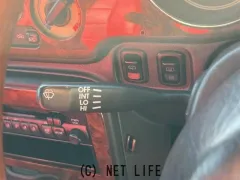 光岡自動車 レイ